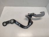 Tailgate/trunk/boot hinge