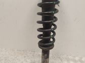 Front shock absorber/damper