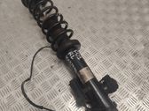 Rear shock absorber/damper