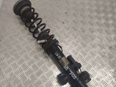 Rear shock absorber/damper