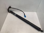 Tailgate/trunk strut/damper
