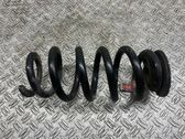 Rear coil spring