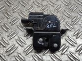 Tailgate/trunk/boot lock/catch/latch
