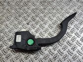Kaasupoljin