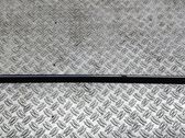 Front door glass trim molding