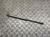 Tailgate/trunk strut/damper