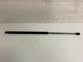 Tailgate/trunk strut/damper