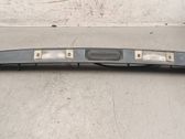 Trunk door license plate light bar