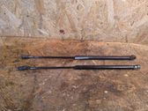 Tailgate/trunk strut/damper
