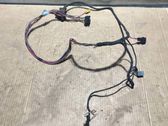 Other wiring loom