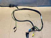 Other wiring loom