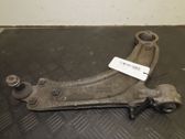 Front lower control arm/wishbone