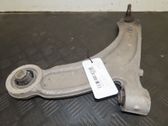 Front lower control arm/wishbone