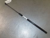 Front bonnet/hood damper/strut