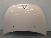 Motorhaube
