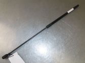 Front bonnet/hood damper/strut