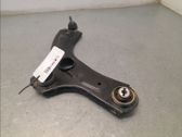 Front lower control arm/wishbone