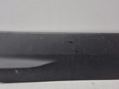 Rear door trim (molding)