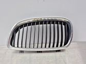 Front bumper lower grill