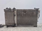 Radiator set