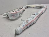 Roof airbag