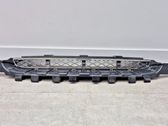 Front bumper lower grill