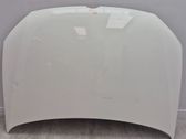 Motorhaube