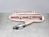 Roof airbag