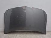 Motorhaube