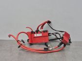 Positive wiring loom