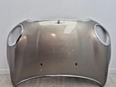 Engine bonnet/hood