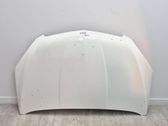 Motorhaube