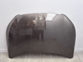 Motorhaube