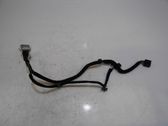 Other wiring loom