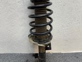 Front shock absorber with coil spring