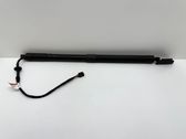 Tailgate/trunk strut/damper