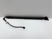 Tailgate/trunk strut/damper