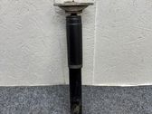Rear shock absorber/damper