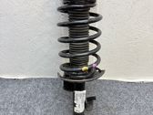 Front shock absorber with coil spring