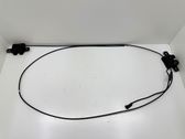 Engine bonnet/hood lock/catch