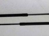 Tailgate/trunk strut/damper