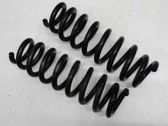 Rear coil spring