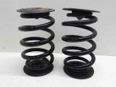 Rear coil spring
