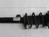 Front shock absorber/damper