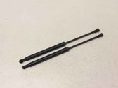 Tailgate/trunk strut/damper