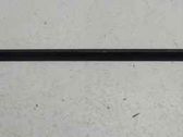 Front door glass trim molding
