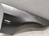 Fender