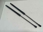 Tailgate/trunk strut/damper