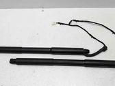 Tailgate/trunk strut/damper