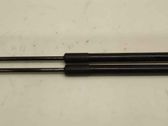 Tailgate/trunk strut/damper